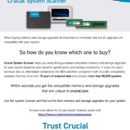 Crucial Basics 8GB DDR4 RAM Memory Module for Desktop